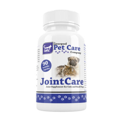 Joint-cat-Small-dog-tlpcc