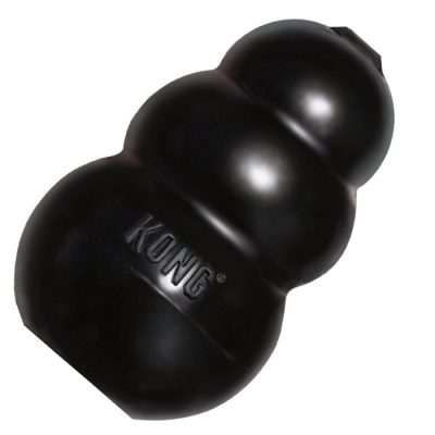 kong ex large